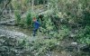 Thumbs/tn_047Domville Creek.jpg